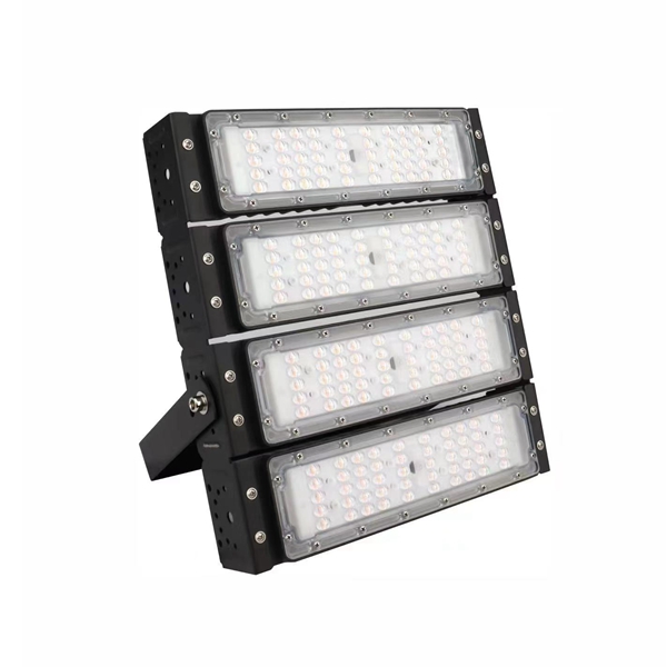 FL810 LED Flood Light